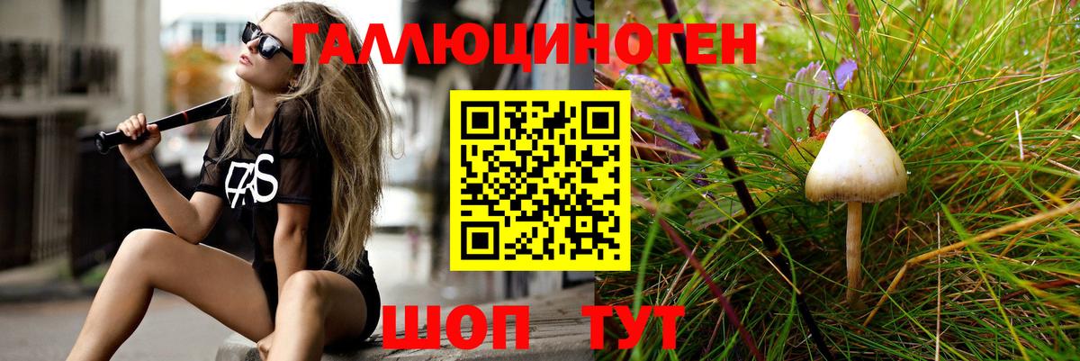 Псилоцибиновые грибы GOLDEN TEACHER  Вход с VPN  Королёв 